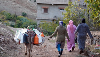 Women walk with a donkey carrying water in the rural community of Ait Hammou Ouhmad (Reuters/Abdelhak Balhaki)