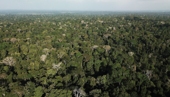 An aerial view shows the Amazon rainforest near Altamira, Para state, Brazil August 28, 2019 (Reuters/Nacho Doce)