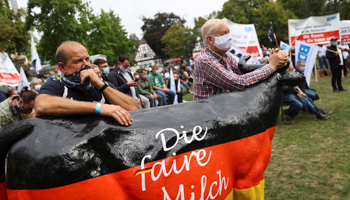 Farmers protest in Koblenz, Germany (Reuters/Kai Pfaffenbach)