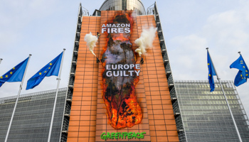 Protests in Brussels over deforestation in Brazil (Isopix/Shutterstock)