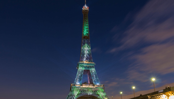 Eiffel Tower, Paris (Petr Kovalenkov/Shutterstock)