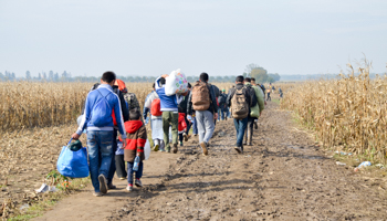 Border between Croatia and Serbia, 2015 (Aiden Kamber / Shutterstock)