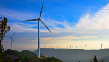 Wind turbines at the Tangshan wind power plant in Qixia (Xinhua/Shutterstock)