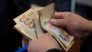 An employee of the Central Bank of Bolivia, handles boliviano notes, La Paz, Bolivia (Juan Karita/AP/Shutterstock)