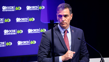 Spanish Prime Minister Pedro Sanchez (Romain Gaillard/Pool/SIPA/Shutterstock)