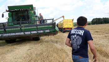 Harvesting wheat near Moscow (Maxim Shipenkov/EPA/Shutterstock)
