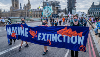 The Extinction Rebellion Marine Extinction March passes the UK Houses of Parliament in London, United Kingdom, September 2020 (Guy Bell/Shutterstock)