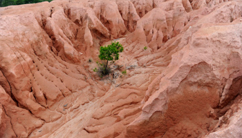 Soil studded with holes due to mining rare earths, Jiangxi Province, China, 2010 (Keystone/Zuma/Shutterstock)
