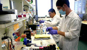 Postdoctoral researchers from China work in a microbiology laboratory in the Hebrew University of Jerusalem, May 26, 2020 (Xinhua/Shutterstock)
