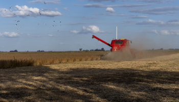 Harvesting the soybean crop in Santa Fe province, Argentina (Patricio Murphy/ZUMA Wire/Shutterstock)