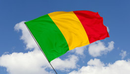 Mali flag. (Shutterstock / Tatoh)