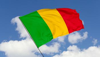 Mali flag. (Shutterstock / Tatoh)