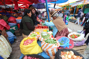 A woman sells fruit and vegetables at a market in La Paz (Martín Alipaz/EPA-EFE/Shutterstock)