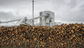 Biomass powerstation with stack of timber, Steven's Croft Biomass Power Station, Dumfries and Galloway, Scotland (FLPA/Shutterstock)