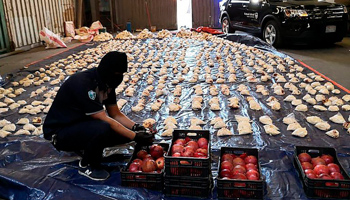 A Saudi customs officer opens pomegranates imported from Lebanon after the discovery of a massive drugs shipment, April 2021 (Uncredited/AP/Shutterstock)