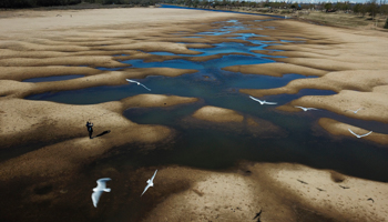 The dry riverbed of a tributary of the Parana River near Rosario (Victor Caivano/AP/Shutterstock)
