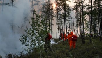 Firefighters tackle a forest fire in Yakutia, Siberia, August 2021 (Vasily Kuper/AP/Shutterstock)