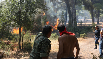 Firefighters and volunteers fighting a fire in Paleochori near Mandra, Attica, where villages have been evacuated, August 17 (ALEXANDROS BELTES/EPA-EFE/Shutterstock)