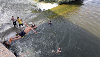 Young Egyptians swimming in the Nile (Khaled Elfiqi/EPA-EFE/Shutterstock)
