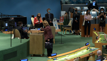 Election of non-permanent members of the UN Security Council, New York, June (Xinhua/Shutterstock)