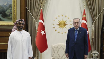 Turkish President Recep Tayyip Erdogan (R) and UAE National Security Advisor Sheikh Tahnoun bin Zayed Al Nahyan before their meeting in Ankara, August 18(Mustafa Kamaci/AP/Shutterstock)