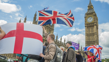 Pro-Brexit supporters outside the UK Parliament, London (Guy Bell/Shutterstock)