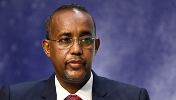 Prime MInister Mohammed Hussein Roble (Andy Rain/POOL/EPA-EFE/Shutterstock)