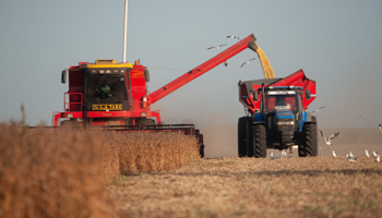 A combine harvesting the soya crop in Santa Fe, Argentina (Patricio Murphy/SOPA Images/Shutterstock)