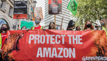 A protest in London over Amazon deforestation and indigenous rights in Brazil (Belinda Jiao/SOPA Images/Shutterstock)