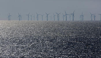 Offshore wind farm in the Baltic Sea (Arnulf Hettrich/imageBROKER/Shutterstock)