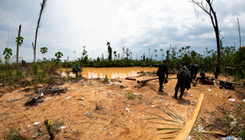 A police operation against deforestation caused by illegal mining in Peruvian Amazonia (ACOMPAÑA CRÓNICA: PERÚ MINERÍA
Mandatory Credit: Photo by Paolo Pena/EPA-EFE/Shutterstock)