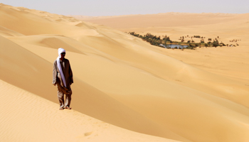  Um el Ma Mandara oasis, south Libya (imageBROKER/Shutterstock)