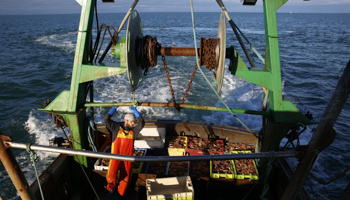 French trawler off the coast of Normandy, France (Nicolas Garriga/AP/Shutterstock)
