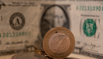 The lira fell yesterday by 7% to a record low of around TRY15:USD1, Istanbul, December 14 (Erhan Demirtas/NurPhoto/Shutterstock)