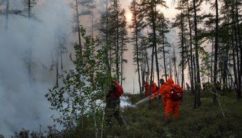 Firefighting in a forest in Yakutia, Siberia, August 2021 (Vasily Kuper/AP/Shutterstock)