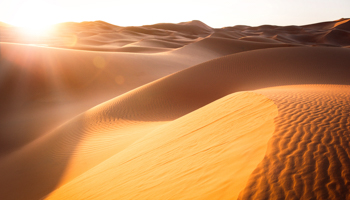 Sahara desert dunes (Shutterstock / Vixit)