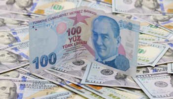 Turkish Lira and US Dollars (Shutterstock/DilaraD)