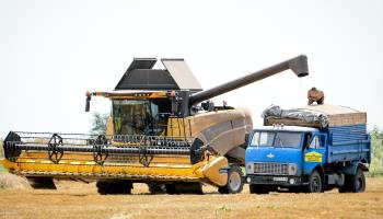 Harvesting grain in Zaporizhiya region, Ukraine, July 2021 (Ukrinform/Shutterstock)