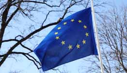 Flag of the EU (Jeppe Gustafsson/Shutterstock)