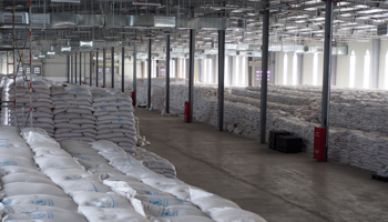 Sacks of food earmarked for Tigray and Afar sit in a World Food Programme warehouse in Semera, Afar, February 21 (Uncredited/AP/Shutterstock)