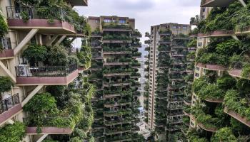 Qiyi City Forest Garden residential buildings complex in Chengdu, China (SUNLING/EPA-EFE/Shutterstock)