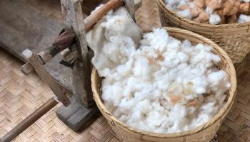 Cotton in a bamboo container for the textile and apparel industry (Shutterstock)