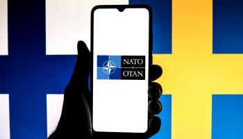 Flags of NATO, Finland and Sweden (Thiago Prudencio/Shutterstock)
