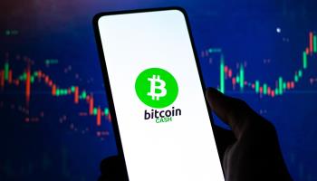 Bitcoin Cash logo on phone screen (Shutterstock)
