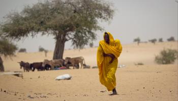 Chadian woman takes her child to a malnutrition clinic (Ben Curtis/AP/Shutterstock)