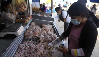 A woman buying chicken heads and feet for a community soup kitchen in Lima (Martin Mejia/AP/Shutterstock)