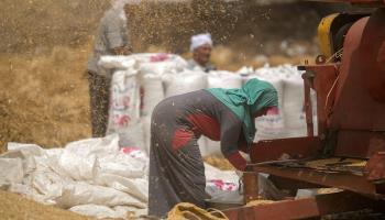 Wheat farmer, Egypt, May (Amr Nabil/AP/Shutterstock)