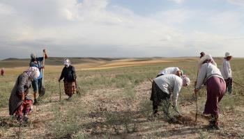 Planting an orchard in southern Kyrgyzstan (Igor Kovalenko/EPA-EFE/Shutterstock)