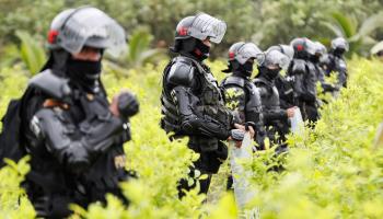 Police officers stand guard as others work in the eradication of coca crops in Tumaco, Colombia, December, 2020 (Carlos Ortega/EPA-EFE/Shutterstock)