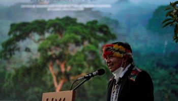 Gregorio Diaz Mirabal, coordinator of the Indigenous Organizations of the Amazon Basin (Paolo Aguilar/EPA-EFE/Shutterstock)